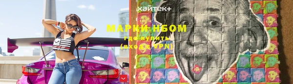 прущие грибы Алексин