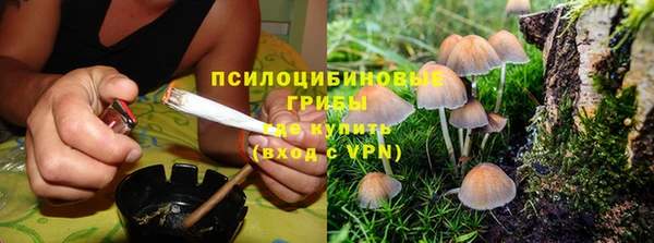 spice Алзамай