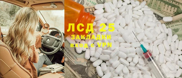 прущие грибы Алексин