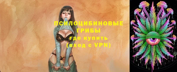 прущие грибы Алексин