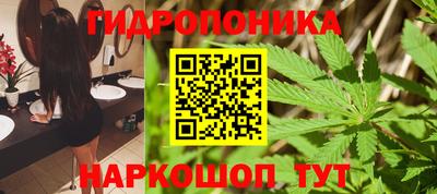 apvp Сосновый Бор