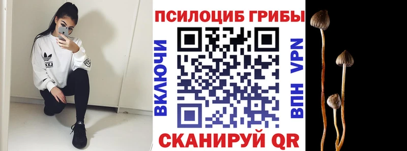 купить наркотики цена  Сунжа  Галлюциногенные грибы мухоморы 