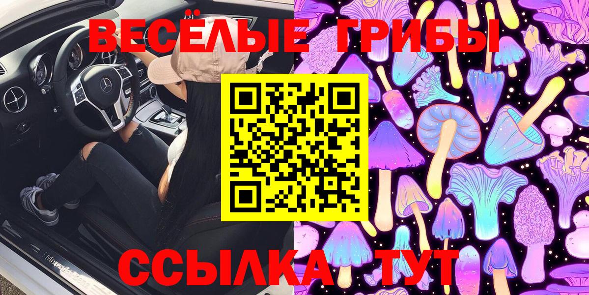 Псилоцибиновые грибы Magic Shrooms  Вход с VPN  Сунжа 