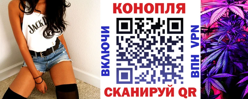 купить наркотики цена  Сунжа  Конопля семена 